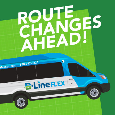 B-Line Flex Marketing Campaign